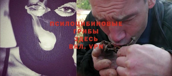 мескалин Ельня