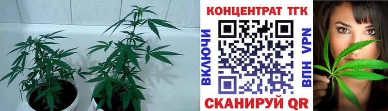 Дистиллят ТГК вейп Урюпинск