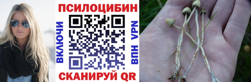 Псилоцибиновые грибы ЛСД  Купить где  Урюпинск 